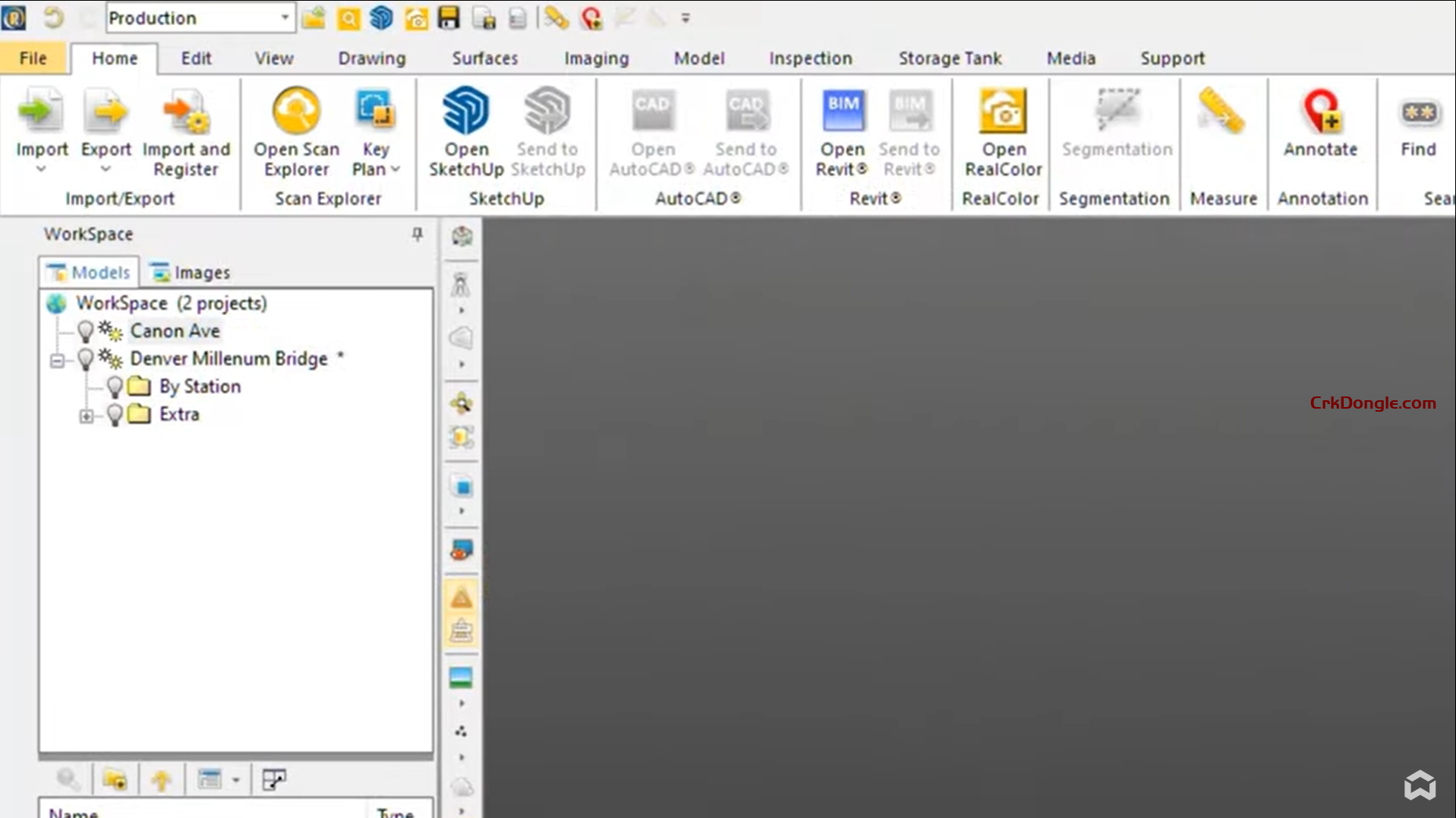 RealWorks 12.4.3