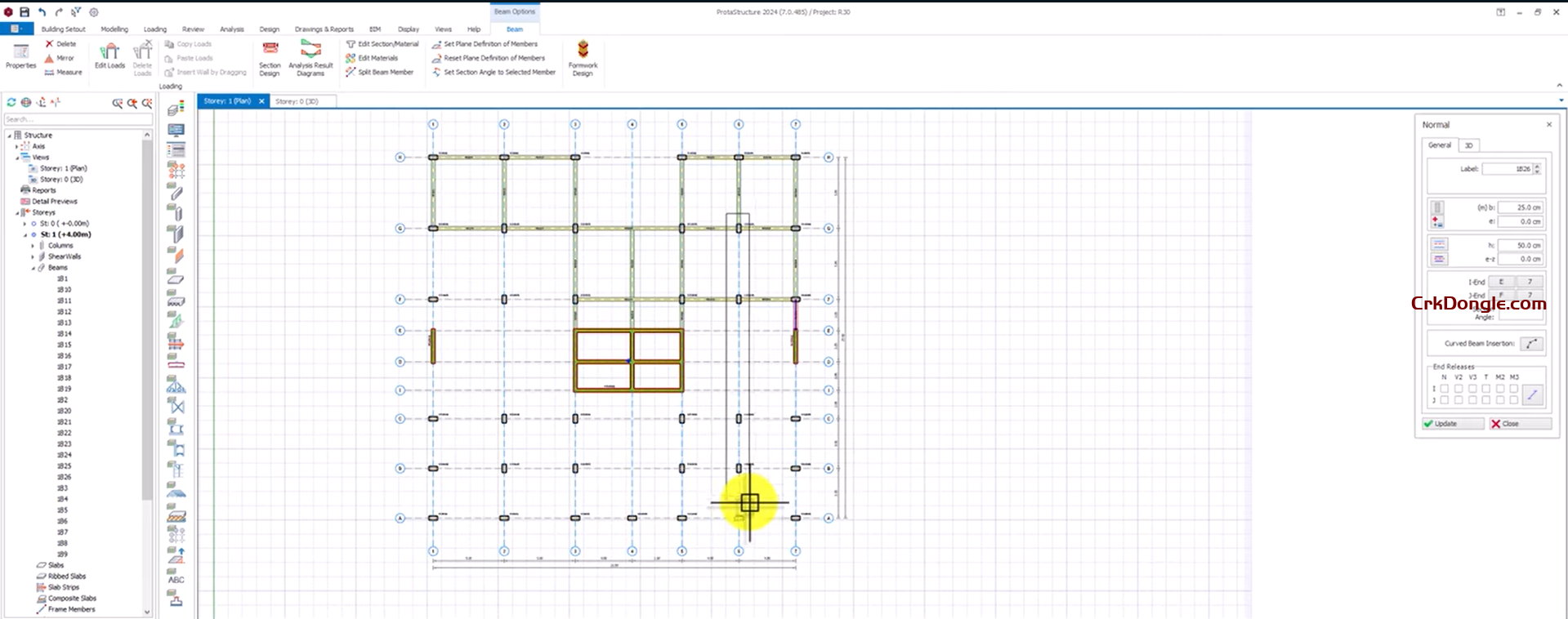 ProtaStructure Suite Enterprise 2025 ProtaStructure Suite Enterprise 2025