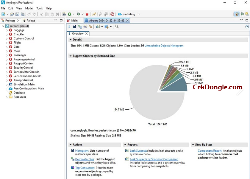AnyLogic 8.9.4 AnyLogic 8.9.4