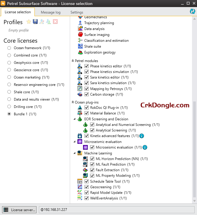 Schlumberger Petrel 2024.6