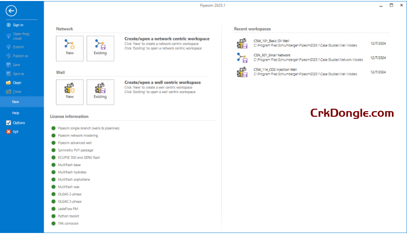 Schlumberger PIPESIM 2025.1