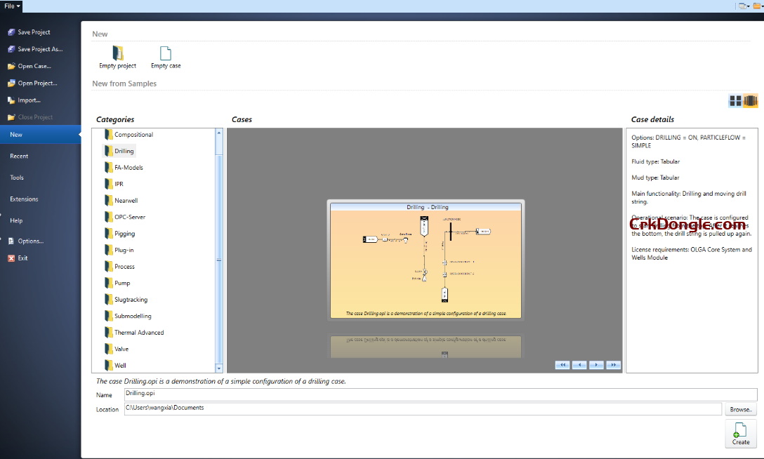Schlumberger OLGA 2025.2-Engineering software Download
