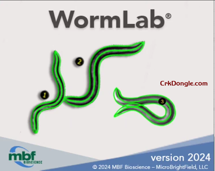 WormLab 2024.1 WormLab 2024.1